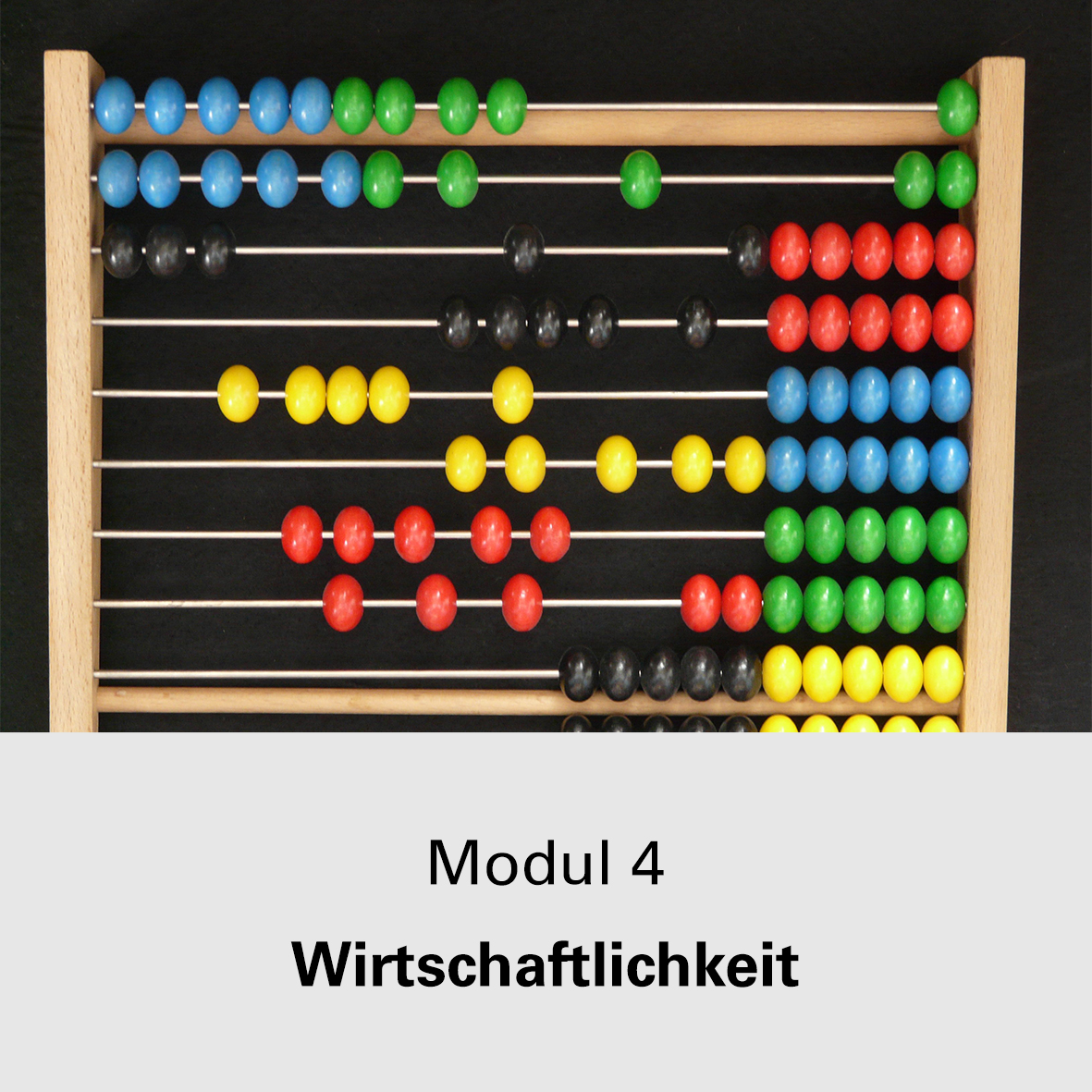 Modul 4 Wirtschaftlichkeit